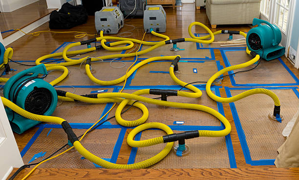 Professional Crawl Space Water Removal technician working in Coral, MI