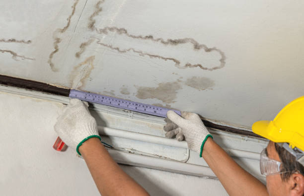 Affordable Water Damage Repair solutions in Coral, MI
